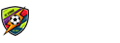 意甲直播